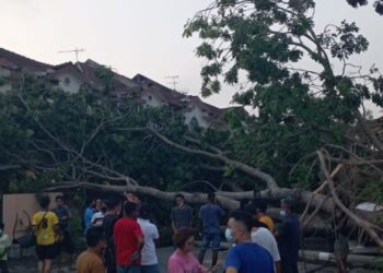 KEADAAN pokok tumbang yang menghempap rumah dalam kejadian ribut di sekitar Taman Tasek Damai dan Kampung Tawas di Ipoh hari ini. - UTUSAN/IHSAN BOMBA