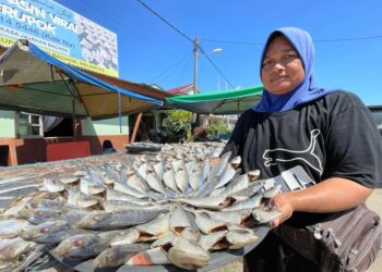 AZWANA Mohd. Nor menunjukkan ikan bekok yang diproses bagi memenuhi permintaan pelanggan sepanjang bulan Ramadan di Kampung Perupok, Bachok, Kelantan. – UTUSAN/TOREK SULONG