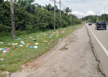 SISA makanan berupa nasi dan sampah sarap yang dibuang individu tidak bertanggungjawab kelihatan bertaburan di bahu jalan di Jalan Mahkamah-Ambangan Height, Sungai Petani. – UTUSAN/OTHMAN YAHAYA