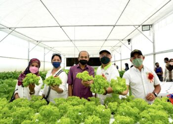 LKE Hydroponic Farm berpotensi menjadi tarikan ekopelancongan yang sesuai bagi para pelancong menikmati pengalaman pertanian masa depan.