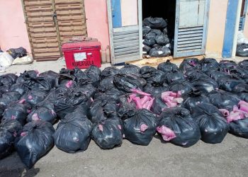 Sebahagian ketum yang dirampas di Kampung Tengah, Kuala Perlis Selasa lalu