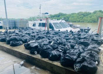 SEBAHAGIAN daripada daun ketum dipercayai cuba diseludup ke Thailand yang dirampas di muara Kuala Kedah, Alor Setar semalam.