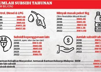 Jumlah bayaran subsidi tahunan kerajaan