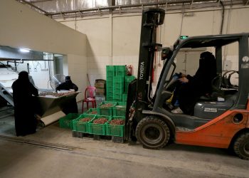 SEORANG pekerja wanita memandu forklift mengagihkan bungkusan kurma di sebuah kilang di Al-Ahsa, Arab Saudi. – AGENSI