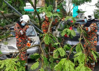 ANGGOTA bomba memotong dahan pokok tumbang yang menghempap lima buah kereta di parkir sebuah restoran makanan segera di Gunung Rapat, Ipoh hari ini. - UTUSAN/IHSAN JBPM PERAK