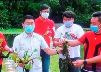 TEH Kok Lim (dua dari kiri) menunjukkan pokok keladi bunting yang tumbuh meliar menyebabkan kawasan kolam di Taman Tasik Taiping berbau busuk dan kotor. - FOTO/ZAKI SALLEH