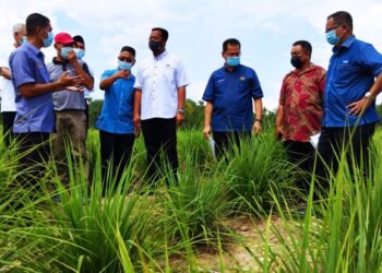 ABDUL Rahman Mohamad (tengah) meninjau projek tanaman serai yang diusahakan oleh penduduk menerusi Program Rakan Strategik Projek Pertanian Tanaman Serai di Kampung Charuk Bakung, Kampung Dalam Wang, Baling, Kedah, hari ini. - FOTO/NORLIA RAMLI