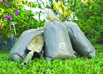 ANTARA tanah campuran yang dihasilkan Azimah di KMKA Nurseri, Perak.