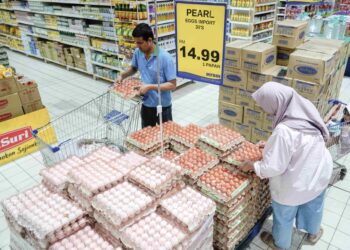 Pengguna di beberapa lokasi Pantai Timur mendakwa berhadapan masalah mendapatkan bekalan telur termasuk pembeliannya dicatu.
– GAMBAR HIASAN