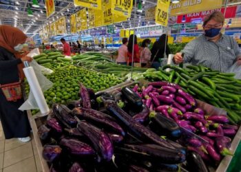 Kenaikan harga baja dan faktor cuaca adalah antara punca sayur-sayuran naik harga.