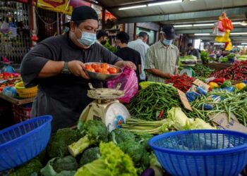 Sektor angromakanan penting menjaga kestabilan makanan negara. - Gambar hiasan