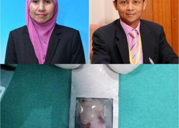 Gambar cebisan ovari yang akan melalui proses pembekuan. (kiri) Prof. Madya Dr. Nuguelis Razali dan Prof. Madya Dr. Abdul Kadir Abdul Karim.