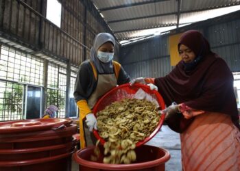 SITI Rokhiah Abdullah (kanan) membantu pekerjanya memindahkan rempeyek ke dalam sebuah tong simpanan. - UTUSAN/SHAHIR NOORDIN