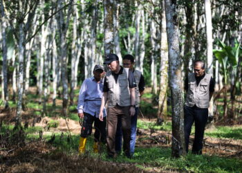 FADILLAH Yusof melihat kebun getah milik pekebun kecil ketika menghadiri Sesi Sembang Warung di Kampung Charok Gorok, Baling. - UTUSAN/SHAHIR NOORDIN