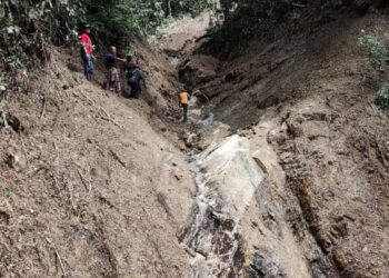 JABATAN Perhutanan Perak mengesahkan tiada aktiviti pembalakan di sekitar kawasan Gunung Suku.