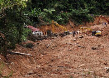 Ketiadaan kajian terbaharu mengenai ekologi dan alam sekitar yang menyeluruh menyebabkan pihak berkuasa tidak dapat menentukan tahap keselamatan sesuatu kawasan pada masa ini. - MINGGUAN/IQBAL ROSLI