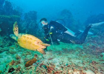 Tengku Nadhirah Zahrah melakukan selam skuba di perairan Pulau Bidong.