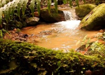 KEADAAN Sungai Burung berhampiran Hutan Mossy, Cameron Highlands yang masih terpelihara namun keadaannya mungkin berubah jika projek pembangunan dilaksanakan di kawasan hutan berlumut itu. – IHSAN REACH