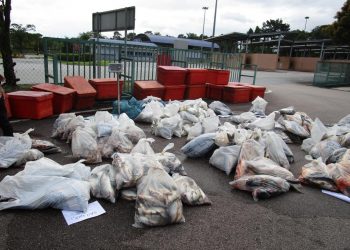 ANTARA ikan tanpa permit eksport sah yang dirampas Maqis Johor di KSAB, Gelang Patah, Johor.