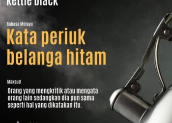 Peribahasa, simpulan bahasa dan pantun dalam Facebook Dewan Bahasa dan Pustaka. – Gambar hiasan.