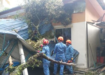 ANGGOTA APM Bandar Baharu sedang melakukan kerja-kerja pemotongan pokok tumbang yang terkena bumbung rumah penduduk dalam kejadian ribut di Mukim Serdang, Bandar Baharu.