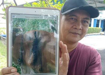 MD. YUSUF ARSHAD menunjukkan gambar lembunya yang dipercayai diserang harimau belang di sekitar kebun sawit di Kampung Paya Kepuh, Mukim Labis, Segamat.