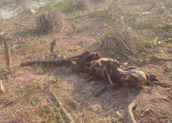 RANGKA yang ditemukan di tebing sebatang sungai di Ladang Tereh, Paloh Kluang.