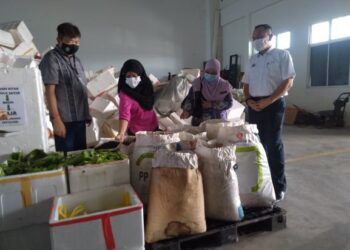 SHADAN Othman (kanan) bersama Kenny Siang Eaw Keong (kiri) melihat sisa bahan buangan daripada sayur-sayuran di tapak kitar semula pasar borong MPHTJ, Batu Berendam, Melaka. - UTUSAN/MUHAMMAD SHAHIZAM TAZALI