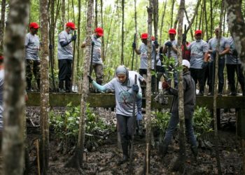 KAKITANGAN Gas Malaysia Berhad menanam anak pokok bakau sebagai program tanggungjawab sosial korporat syarikat itu di Kuala Selangor, baru-baru ini. – UTUSAN/ZULFADHLI ZAKI