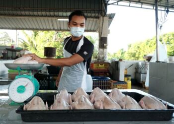 MUHAMMAD Taufiq Meor Saradi menyusun ayam segar di kedainya di Pasar Awan Batu Gajah, ketika tinjauan hari ini. - UTUSAN/ZULFACHRI ZULKIFLI