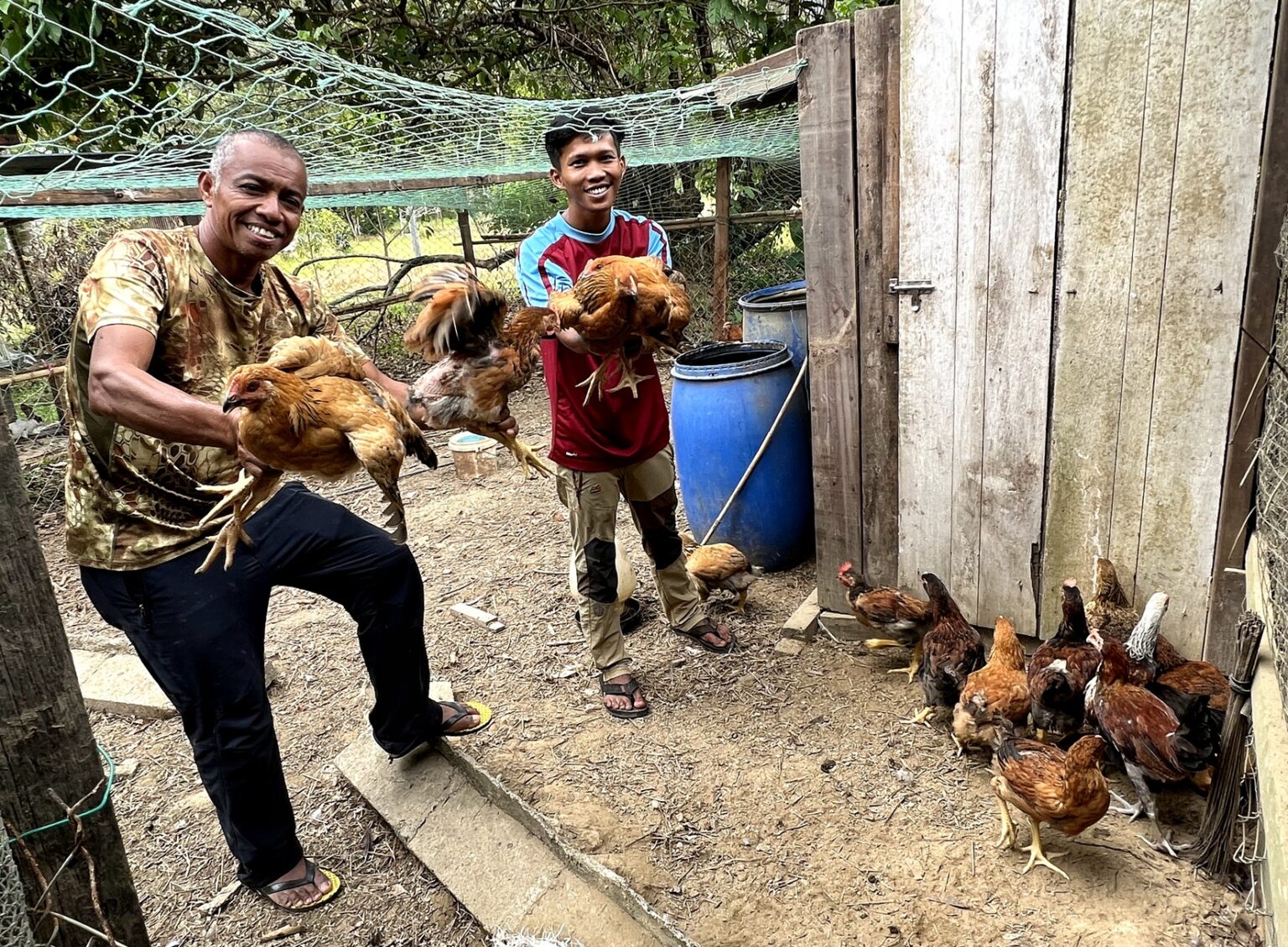 Permintaan Ayam Kampung Laris Sempena Hari Mantai Utusan Malaysia