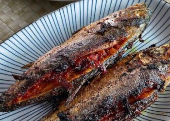 IKAN Cencaru Bantut atau sumbat sambal ini sedap dimakan dengan nasi panas.