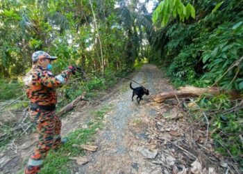 ANJING pengesan mencari lelaki warga emas yang dilaporkan hilang sejak kelmarin di Kampung Ayer Papan, Tanjung Tualang dekat Kampar, Perak, hari ini.