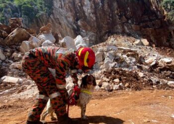 ANJING dari Unit Anjing Pengesan (K9) bomba memulakan pencarian pada hari ke-21 operasi mencari dua mangsa tertimbus runtuhan batu di tapak kuari di Keramat Pulai, Ipoh, Perak, hari ini. - FOTO/IHSAN JBPM PERAK