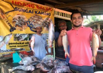 MOHD. Syahrul Ikmal Abu Othman (kanan) menunjukkan ikan yang dijual di gerainya hasil tangkapan di Sungai Kahang di Kluang, Johor. - UTUSAN/NUR NABILAH RAHMAT