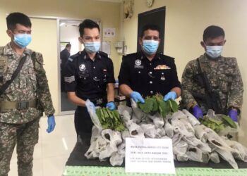 MULKIAMAN Manzar (dua dari kanan) bersama anggota Angkatan Tentera Malaysia (ATM) menunjukkan sebahagian rampasan daun ketum di Ibu Pejabat Polis Daerah Padang Terap di sini hari ini.