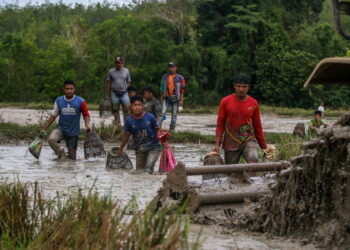 PADANG TERAP, 9 September 2022 - Penduduk kampung yang terdiri daripada pelbagai lapisan umur meneruskan tradisi menangkap ikan menggunakan serkap di dalam sawah padi ketika musim membajak di sini hari ini. - UTUSAN/ SHAHIR NOORDIN