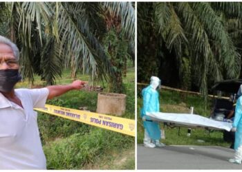 SALEH Lesut menunjukkan lokasi penemuan mayat seorang lelaki di dalam kebun kelapa sawit, Jalan Pilin-Panchang, dekat Kampung Pelebar Dalam, Rembau petang tadi. Gambar kanan mayat mangsa dihantar ke Hospital Rembau untuk proses bedah siasat. - UTUSAN/NOR AINNA HAMZAH