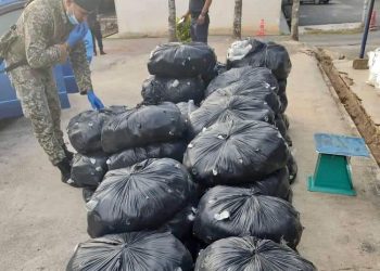 POLIS Padang Besar merampas 650 kilogram daun ketum yang cuba diseludup ke negara jiran berhampiran View Point Wang Kelian, Kaki Bukit,Perlis semalam.