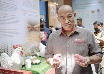 Aminuddin Salleh menunjukkan anak ayam yang dipamer di Taman Ekspo Pertanian Malaysia Serdang (MAEPS), semalam.. - UTUSAN/FAIZ ALIF