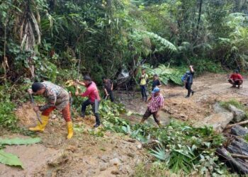 PENDUDUK Orang Asli bergotong-royong membaiki kerosakan jalan balak di Pos Balar, Gua Musang, Kelantan, semalam. - FOTO/AIMUNI TUAN LAH