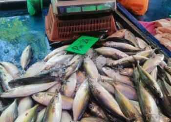 Beberapa lokasi di Pulau Pinang didakwa alami kekurangan ikan kembung. - Gambar hiasan