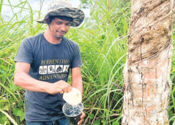 AYUN Abdul Rahman menunjukkan hasil getah yang menjadi sumber pendapatan ahli keluarganya di Kampung Pasir Linggi, Gua Musang, Kelantan. – UTUSAN/AIMUNI TUAN LAH