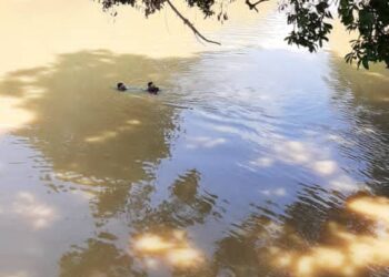 PASUKAN Penyelamat di Air (PPDA) JBPM melakukan operasi mencari dua kanak-kanak yang hilang di Sungai Rekoh, Rompin, Pahang.