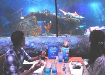 Legoland Malaysia Resort menampilkan tarikan terbaharu di taman tema itu dengan memberi pengunjung bertuah merasai pengalaman makan malam yang mengujakan di kelilingi hidupan laut di Sea Life Malaysia.UTUSAN/RAJA JAAFAR ALI