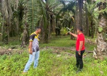 MOHD. Norodzaime Affandy Mohd. Rodzi (kanan) ketika meninjau tapak perumahan Generasi Baharu Felda Lepar Utara 3 yang masih menanti kelulusan mendapatkan geran tanah. – Utusan/NORHAFIZAN ZULKIFLI