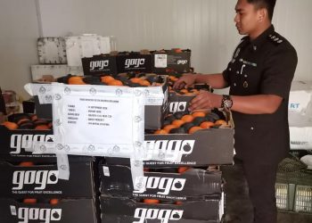 ANTARA 1,248KG buah limau mandarin ditahan Maqis Johor kerana dibawa masuk ke Malaysia tanpa permit di Bangunan Sultan Iskandar (BSI), Johor Bahru