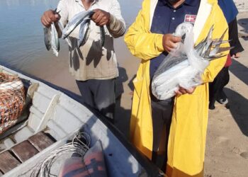 SHAARI Rabu (kanan) dan rakannya, Sabri Yaacob menunjukkan hasil tangkapan anak ikan parang dan anak ikan tenggiri yang dijual sebanyak RM28 di Pantai Puteri, Melaka, semalam. - UTUSAN/AMRAN MULUP