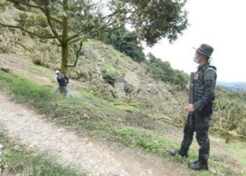 ANGGOTA PGA mengawal keselamatan operasi penguatkuasaan memusnahkan kebun haram durian Musang King dalam Hutan Simpan Kekal (HSK) Batu Talam di Raub, Pahang.