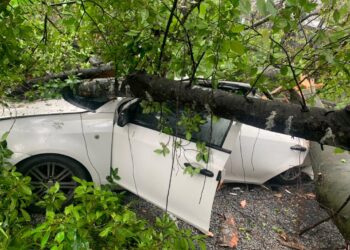 KEADAAN kereta yang dihempap pokok dipercayai tumbang akibat hujan lebat di Muzium Negara hari ini.